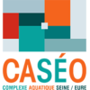 Logo-Caseo-V-192x192-1